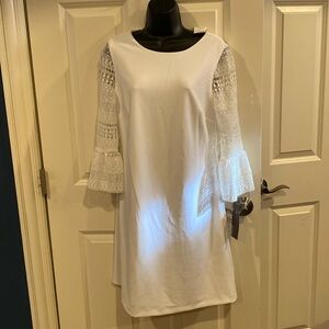 10 Donna Ricco New York long sleeve white dress with lacy arms - NWT